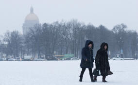Петербург и Ленобласть оказались под влиянием мощного циклона «Фрэнсис»