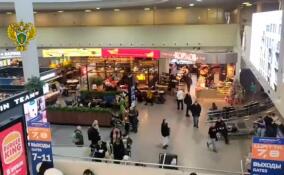 Транспортная прокуратура проверяет массовые задержки авиарейсов в Пулково