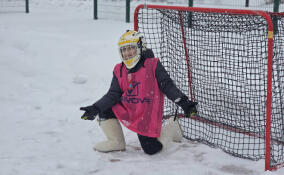 В Гатчине прошёл Всероссийский день русского дворового хоккея