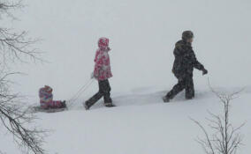 Метели вновь накроют Ленобласть в последний день зимних каникул