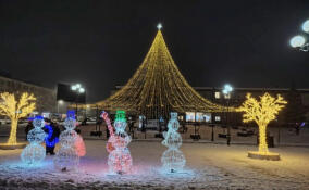Новогодние ели из Луги и Тихвина представят Ленинградскую область в полуфинале конкурса «Елки России»