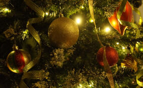 Невролог рассказал, как настроить организм на рабочий лад после праздников