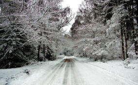 Снег и до −13 градусов ожидаются в Ленобласти 12 января