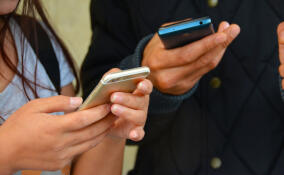 В 2025 году жители Ленобласти чаще всего жаловались на дороги и поликлиники