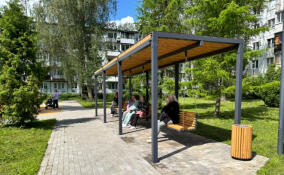 Новые парки, дворы и спортплощадки: как преобразится Ленобласть в 2026 году