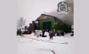 С начала 2026 года в Ленобласти на пожарах спасены 44 человека