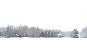 До -12, местами снег: прогноз погоды в Ленобласти на 13 января