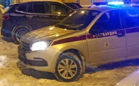 В трамвае на Васильевском острове каталась голая женщина