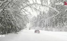 Новогодние праздники в Петербурге и Ленобласти прошли в штатном режиме