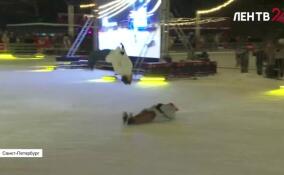 На катке Елагина острова прошло шоу звезд фигурного катания