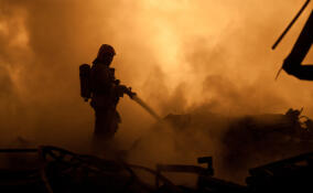 С начала года в Ленобласти 12 человек погибли в пожарах