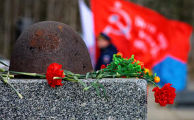 Памятник участникам СВО в Сертолово планируют открыть в День Победы
