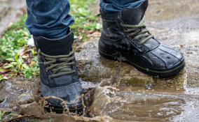 Уровень воды на подтопленных участках в Сланцевском районе начал значительно снижаться