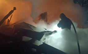 За сутки в Ленобласти потушили 17 пожаров