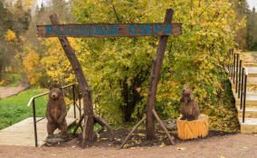 Для радоновых источников и озер у деревни Лопухинка создали охранную зону