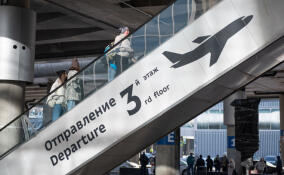 На новогодних праздниках Пулково обслужил более 700 тысяч пассажиров