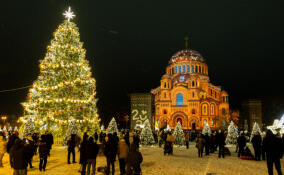 Новогодняя ель в Кронштадте признана лучшей в России