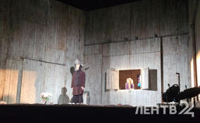 Театр на Васильевском привез в Кириши «Землю Эльзы»