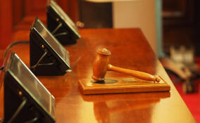 Жителя Тихвина отправили в колонию на пять лет за хранение, изготовление и сбыт оружия