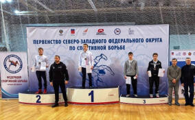 Двое спортсменов из Всеволожского района завоевали медали на Первенстве СЗФО по греко-римской борьбе
