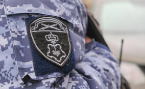 Уборка снега у гаражей в Петербурге закончилась дракой