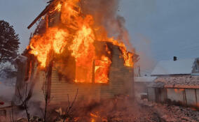 За сутки в Ленобласти потушили девять пожаров