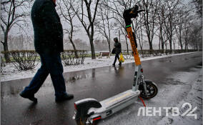 Небольшой снег и до - 12 градусов пообещали жителям Ленобласти 14 января