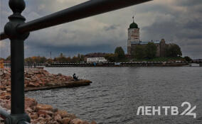 В 2025 году музеи Ленобласти приняли 2,5 млн гостей