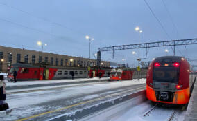 Прокуратура организовала проверку из-за задержки поездов в Ленобласти и Петербурге