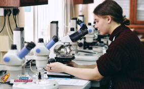 Четверо гатчинских студентов вышли в финал всероссийской олимпиады «Я — профессионал»