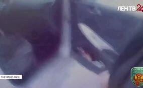 Нападение на инспектора ДПС в поселке Отрадное может обернуться уголовным делом