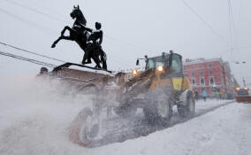В Петербурге суточный вывоз снега достиг рекордных объемов