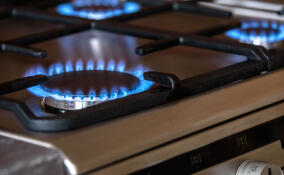 В три многоэтажки в Мурино провели сетевой газ