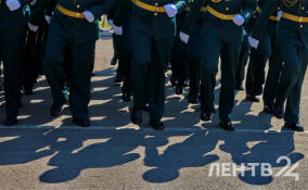 Александр Дрозденко обсудил с Ольгой Историк улучшение поддержки ветеранов СВО и их семей