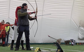 В Ленобласти впервые посоревновались в 3D-стрельбе из лука