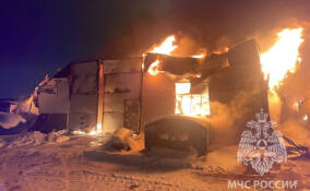 В Колтушах тушат полыхающий ангар