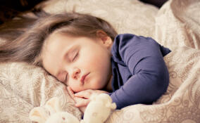 Жителя Ленобласти приговорили к принудительным работам за неуплату алиментов на дочь