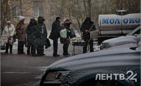 Небольшой снег и до -11 градусов ожидаются в Ленобласти 15 января