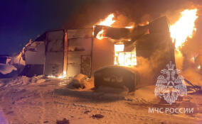 За сутки в Ленобласти ликвидировано 11 пожаров