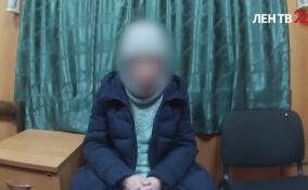 Спецслужбы предотвратили теракт в Ленобласти