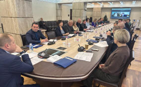 В Ленобласти продлевают льготные тарифы на электричество с новыми условиями