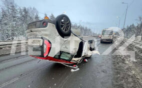 Легковушка перевернулась на Мурманском шоссе в Ленобласти