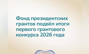 Почти 30 проектов из Ленобласти выиграли президентские гранты