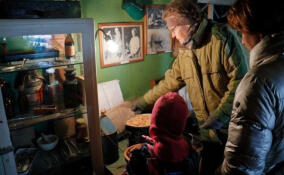 В Ленинградском зоопарке пройдет выставка «Зоосад в годы блокады»