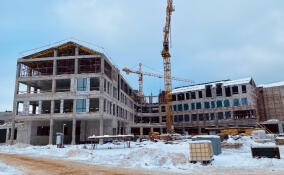 В Новоселье в строящейся школе приступили к формированию общественных пространств