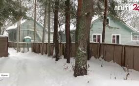 В ближайшее воскресенье север Ленобласти согреет теплый морской воздух