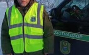 Охотнадзор: численность волков в Ленобласти стабильна