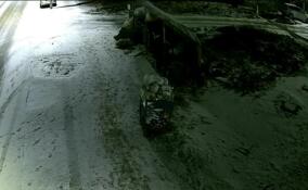 Странная женщина ночью распотрошила мусорный контейнер в Ленобласти