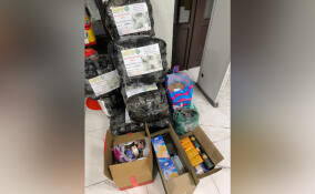 Ленинградские ветеринары отправили на фронт партию гуманитарной помощи