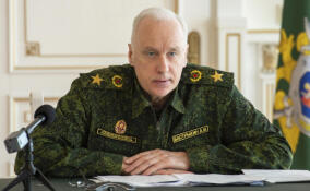 Бастрыкин заинтересовался информацией о неадеквате, преследующем беременную в Ленобласти